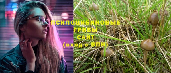 тгк Алзамай